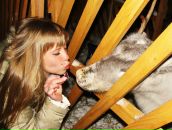 Фотография Волковой Марины