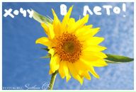 Фотография Кучум Светланы