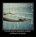 Фотография Светланы Svetochka