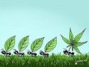 Віталій Микитюк фотография #8 (источник - https://vk.com/id95225125)
