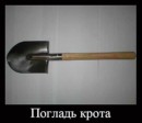Сергей Лях фотография #13 (источник - https://vk.com/id14270446)