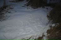 Ольга Епифанова фотография #22 (источник - https://vk.com/id235570)