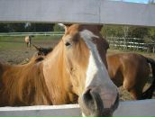 Фотография Кисель Анастасии