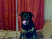 Фотография Авдеевой Валентины