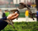 Фотография Константин Чунихин