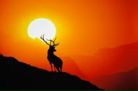 Павел Данилов фотография #31 (источник - https://vk.com/id79237530)