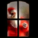 Фотография Кочуры Татьяны