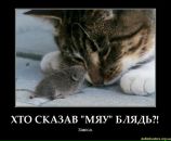 Віталій Дорошенко фотография #49 (источник - https://vk.com/id16754375)