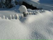 Иван Никулин фотография #50 (источник - https://vk.com/id755602)