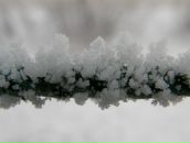 Мирослав Збірко фотография #11 (источник - https://vk.com/id87492158)