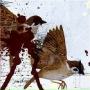 Ian Jones фотография #14 (источник - https://vk.com/id10176532)