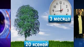 Инфомания. Выпуск 131