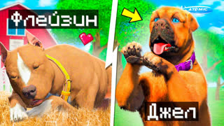 GTA 5 - МЫ СТАЛИ ЖИВОТНЫМИ НА 24 ЧАСА В  ГТА 5 ! Я СТАЛ КУРИЦЕЙ В GTA 5 ЧЕЛЛЕНДЖ